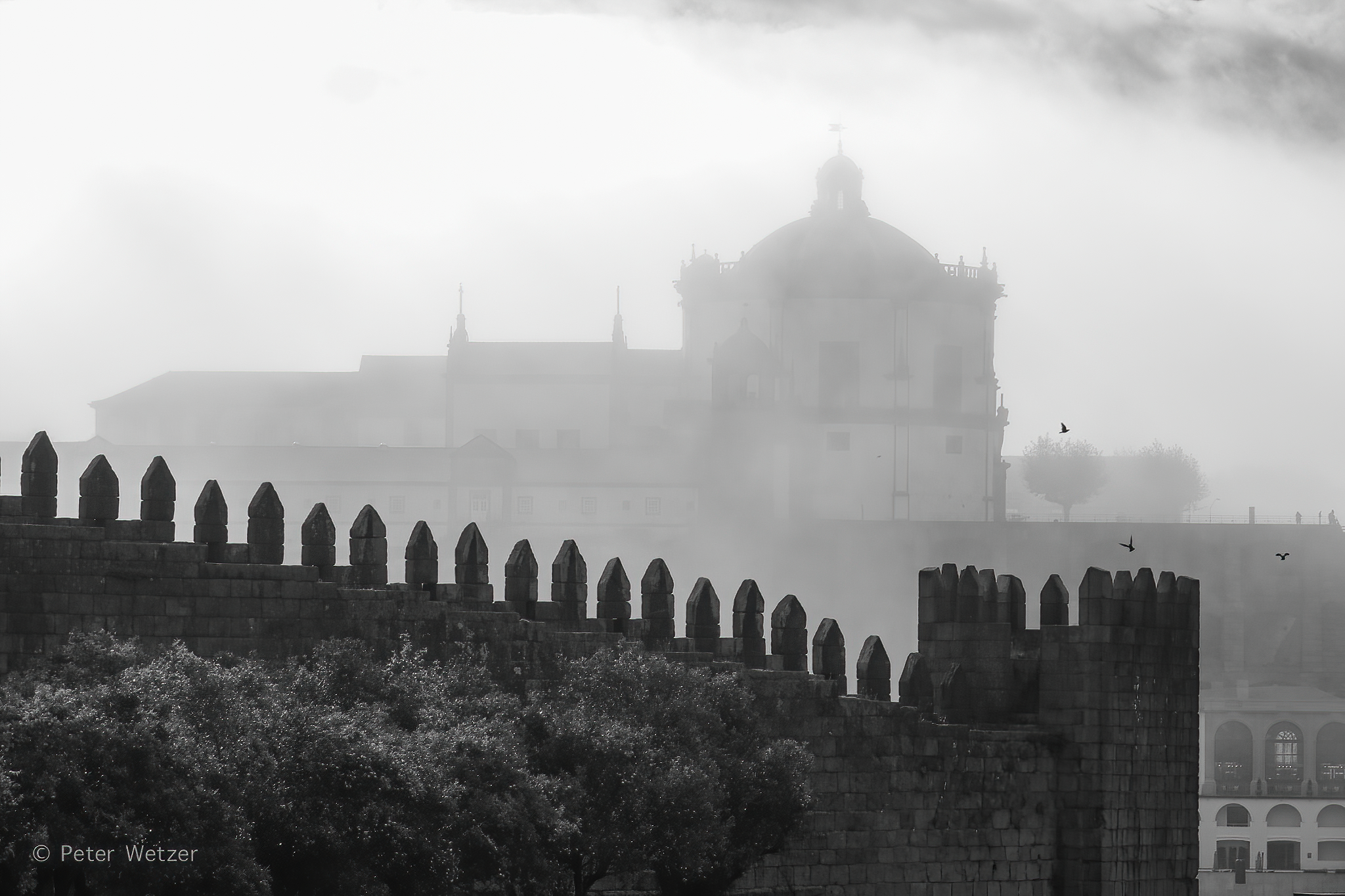 Porto – Portugal 31.10 tot 6.11.2021